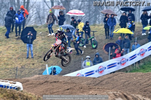 2019-02-10 Mantova - Internazionali di Motocross 21557 MX1 222 Antonio Cairoli